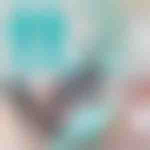 Rukavice za negu kućnih ljubimaca | FURMITTS