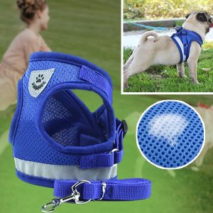 Podesivi reflektujući pojas i povodac | LEASHNGO