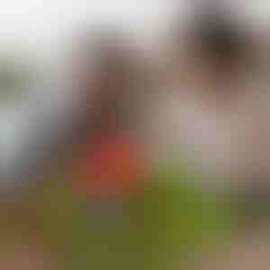 Magnetne minicraft kocke (48 kom) | MAGCRAFTI