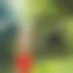 Prenosni tuš | SHOWDY