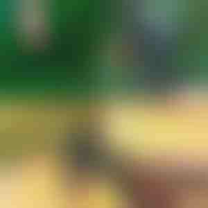 Profesionalne makaze za orezivanje i kalemljenje 2-u-1 | MASTERCUT