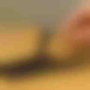 Set od 10 izvlačivača šrafova | SCREWX